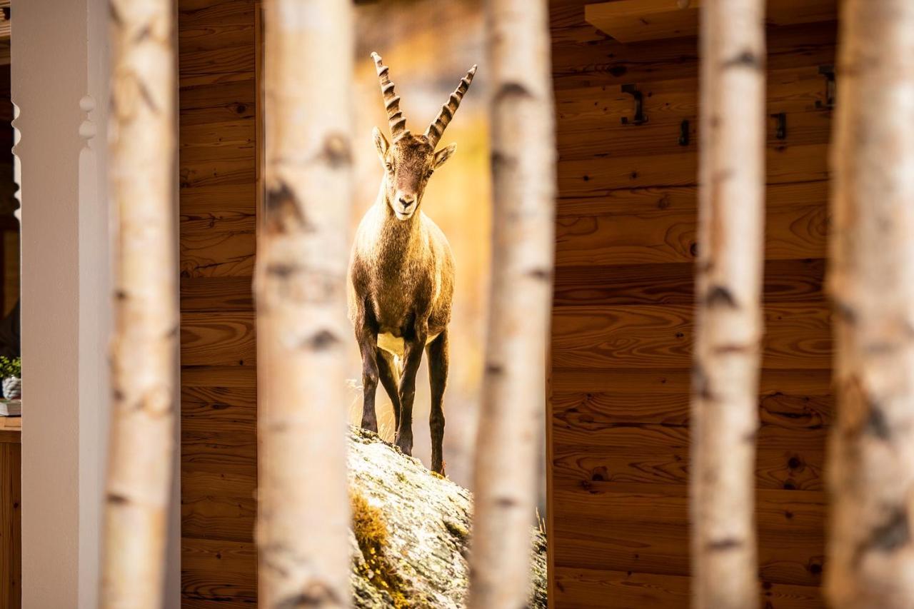 Hotel Pramstraller Mayrhofen Dış mekan fotoğraf